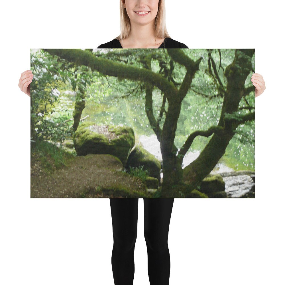 Hermitage forest Canvas