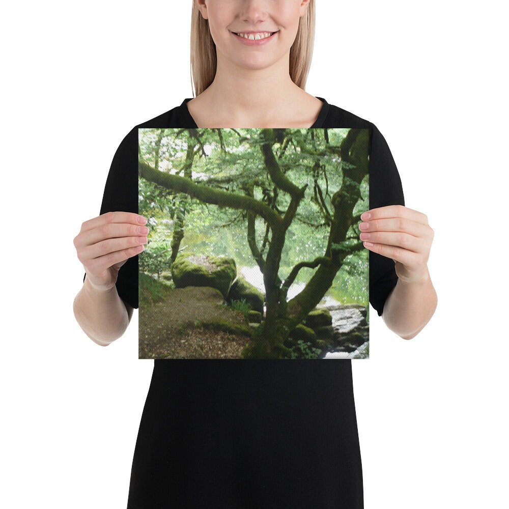 Hermitage forest Canvas