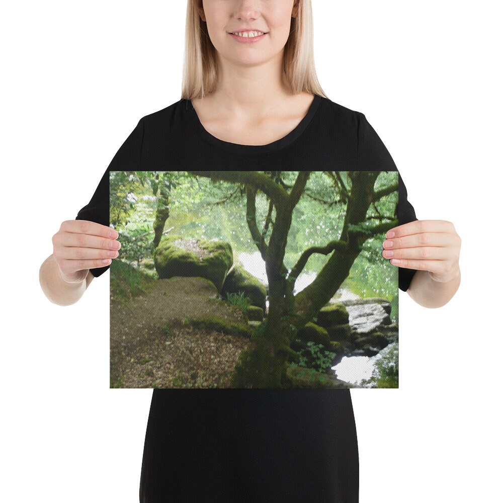 Hermitage forest Canvas
