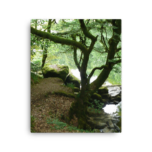 Hermitage forest Canvas