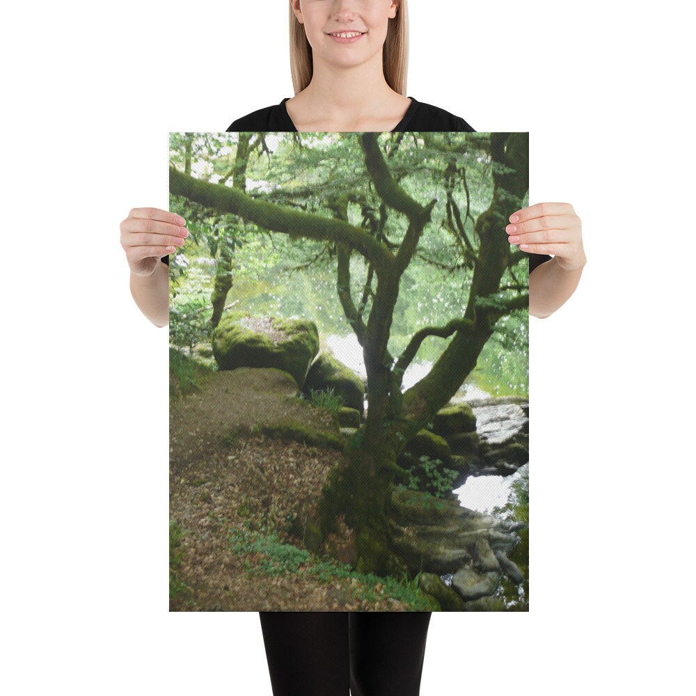 Hermitage forest Canvas