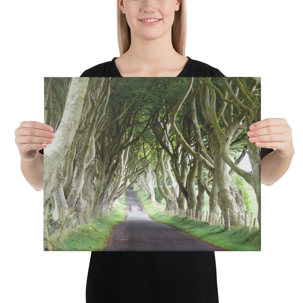 Dark Hedges Canvas