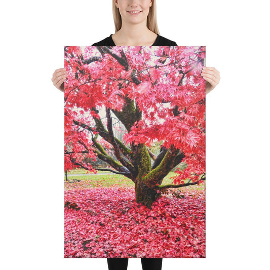 Tullnally Maple Canvas