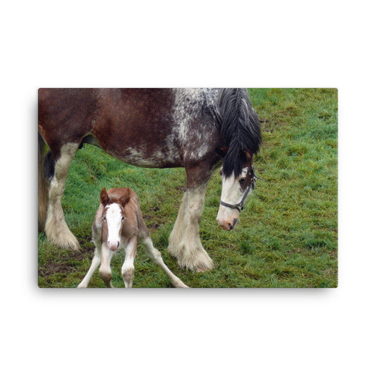First Steps Canvas