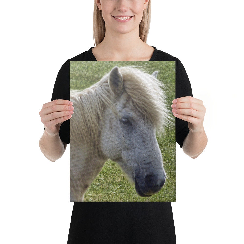 Icelandic Horse Canvas
