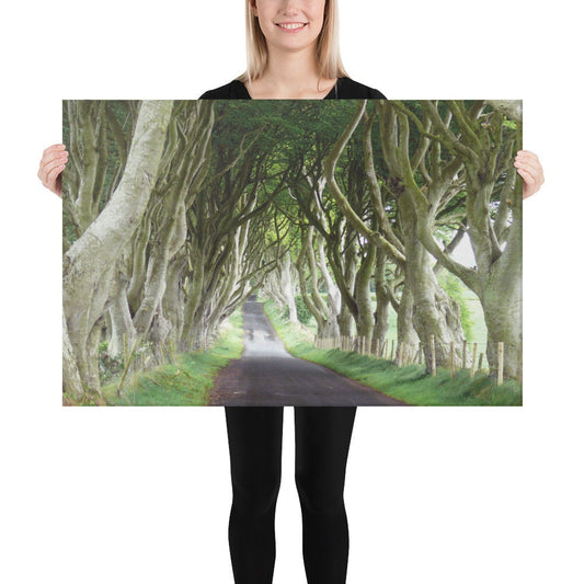 Dark Hedges Canvas